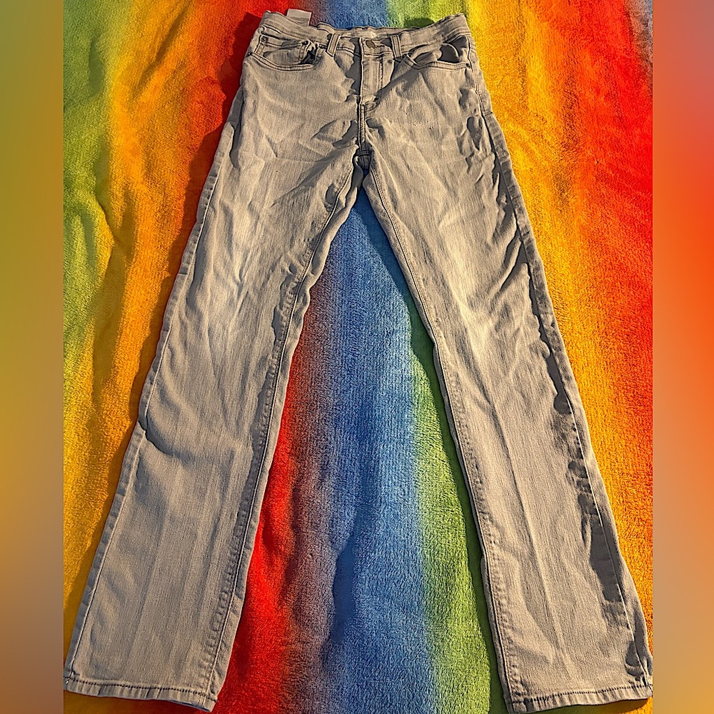 Boys Gray Slim Levi Strauss Pants